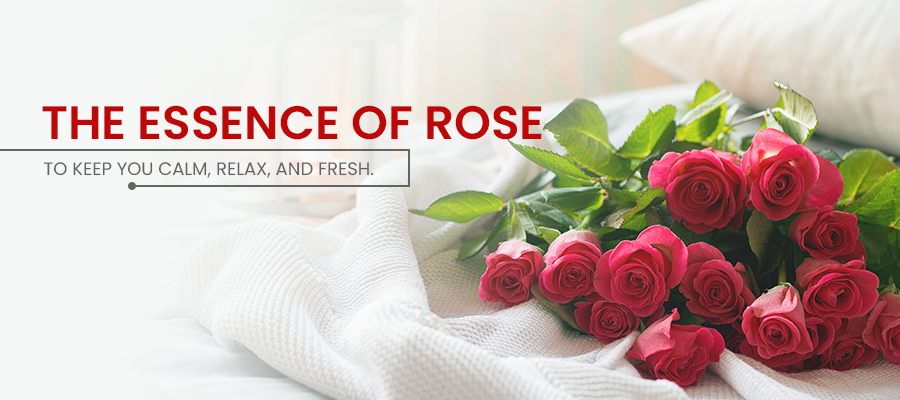 The Essence of Rose